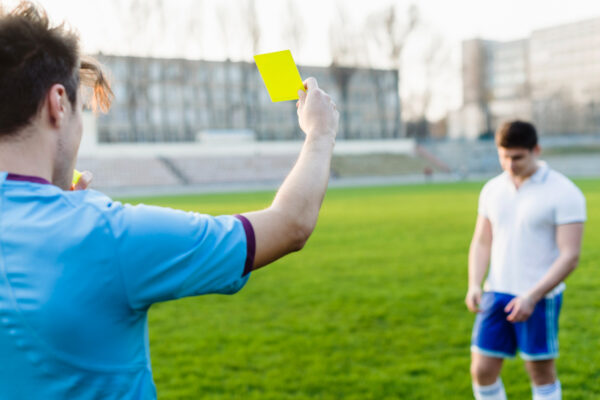 What are the major roles of game officials in team sports?